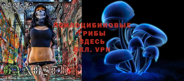 дмт Алексин