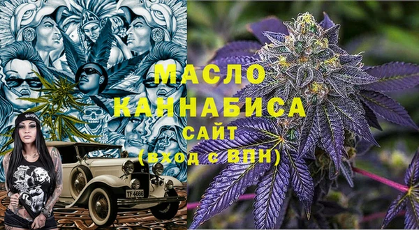 дмт Алексин