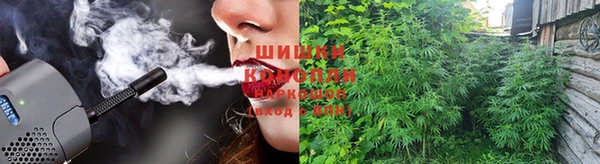 дмт Алексин