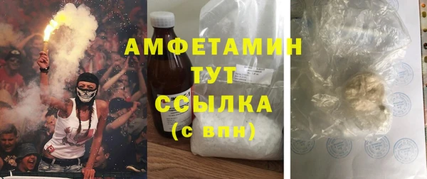 дмт Алексин
