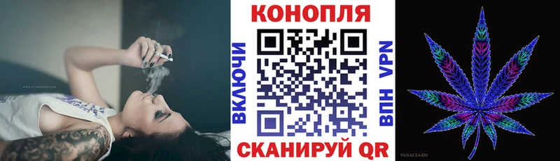 Канабис OG Kush  купить   Петровск-Забайкальский 